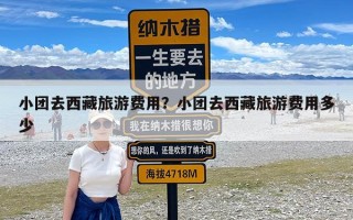 小团去西藏旅游费用？小团去西藏旅游费用多少