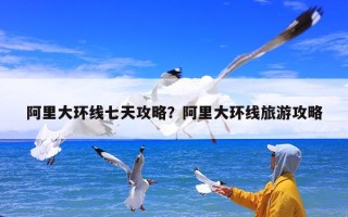 阿里大环线七天攻略？阿里大环线旅游攻略