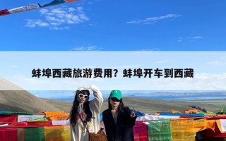 蚌埠西藏旅游费用？蚌埠开车到西藏